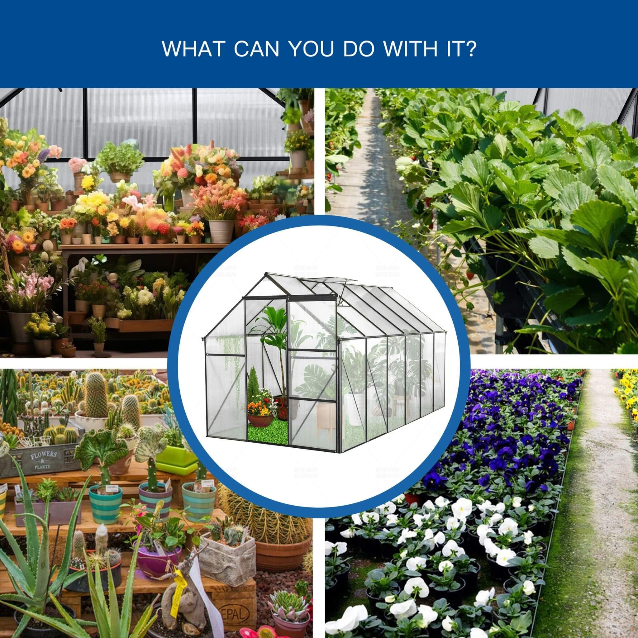 6' x 12' FT Alora Heavy-Duty Black Polycarbonate Greenhouse With Raised Base And Anchor