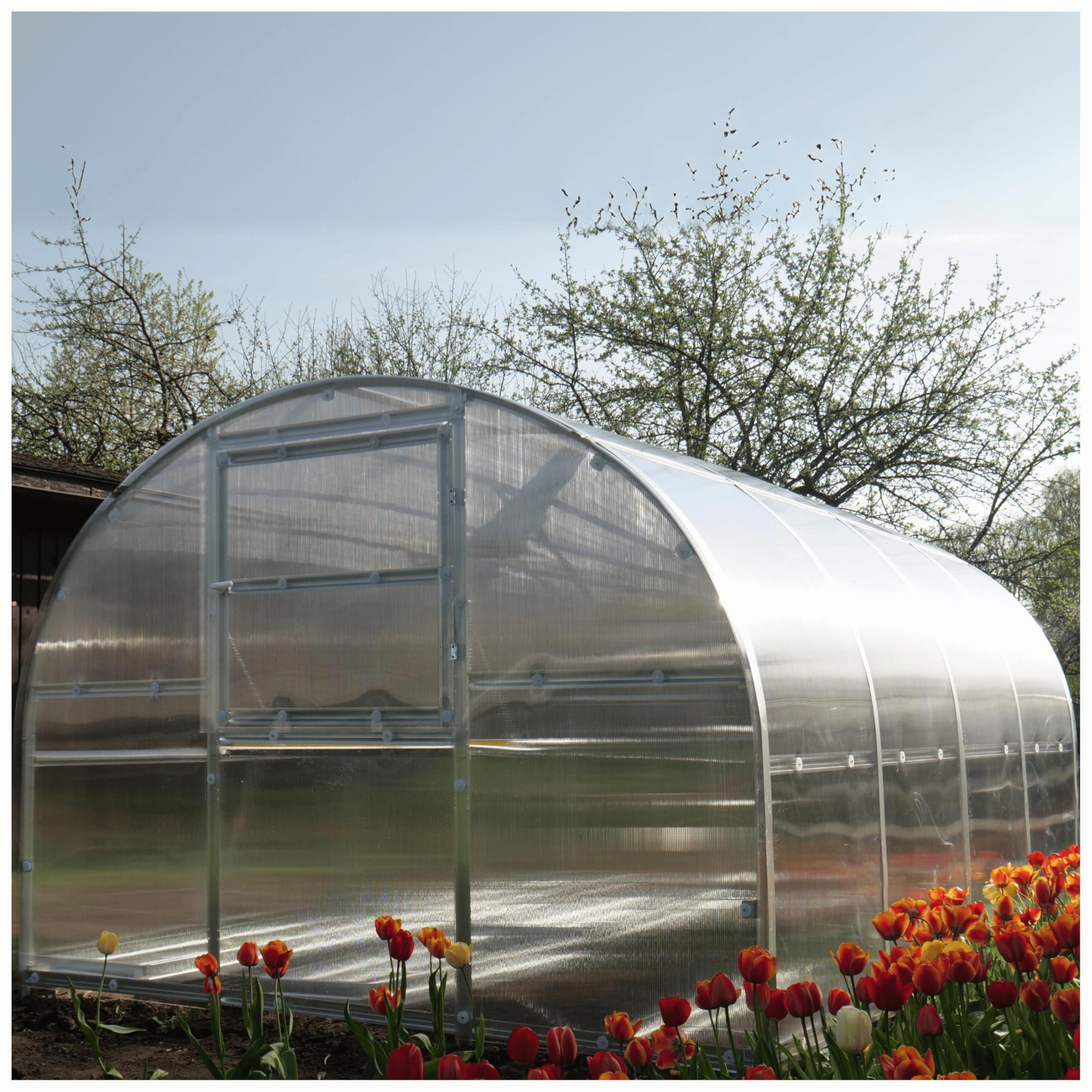Polycarbonate Greenhouse Kit - Greenhouse 10x20 ft. (0.02 ft. Thick) - Easy Assembly & Heavy Duty Greenhouses for Outdoors- with Vents and Extra Door